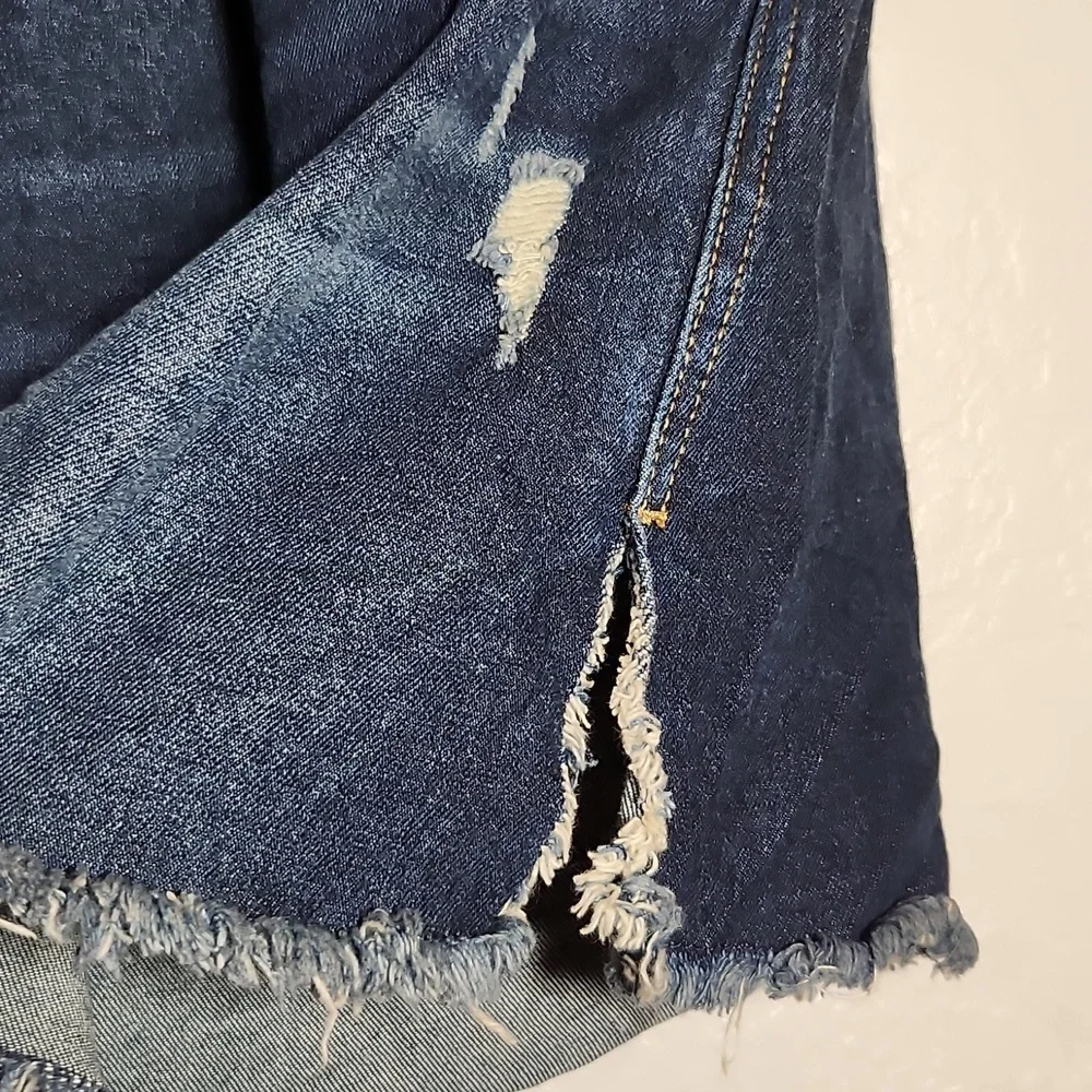 TERRA & SKY 20W DarknWash Distressed Cut Off Shorts